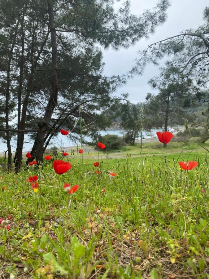 Inlice Uenzile Bungalow Inlice Kamp Fethiye Eksteriør bilde