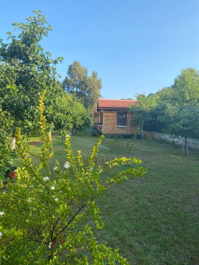 Inlice Uenzile Bungalow Inlice Kamp Fethiye Eksteriør bilde